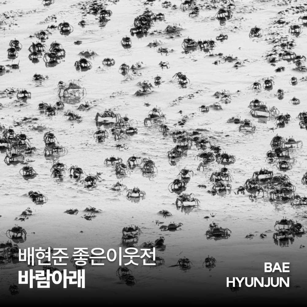 배현준 네번째 갯벌사진 전시 '좋은이웃'전 바람아래